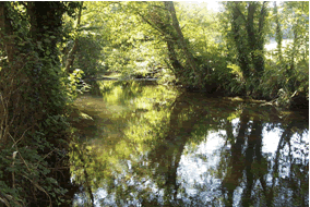 River Camel downstream from Poleys Bridge