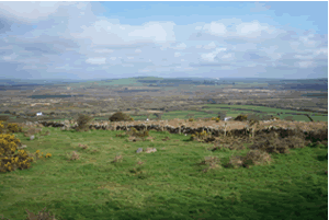 Goss Moor