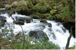 Golitha Falls on the Fowey