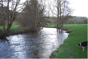 The river Inny near Woodabridge