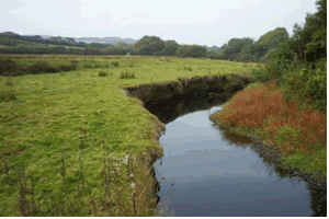 River Ottery just upstream of Canworthy Water