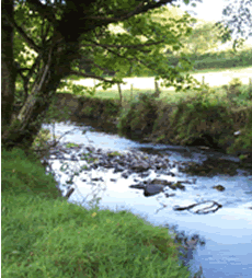 Penpont water near Altarnun