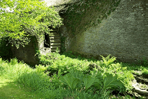 Waterwheel on a leat off the main river