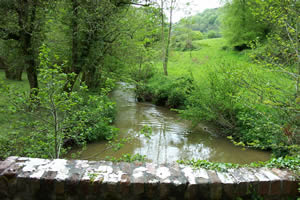 West Looe from Sowdens Bridge downstream