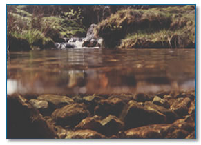 Underwater view of Cornish river