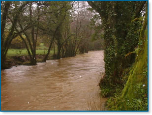 River Lynher aftera rainstorm, evidence of cattle erosion on the far bank