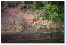 Cliff with sandmartin holes