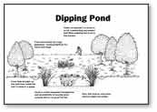 Dipping Pond