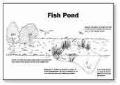 Fish Pond