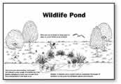 Wildlife Pond