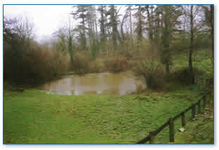 Farm Pond