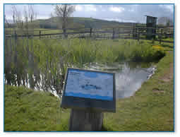 Escot Wildlife Pond 