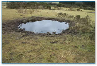 Cattle drinking pond