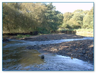 Gravel bars in river