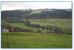 Agricultural river valley at Restormel