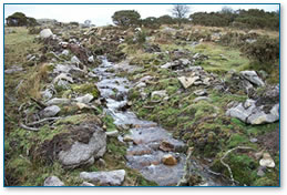 Water running off moor 