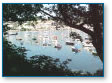 Fowey from Polruan