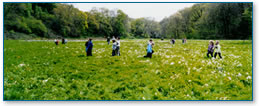 Wetland area at Coldrinnick