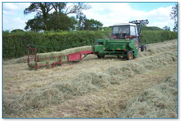 Small bales of hay made traditionally