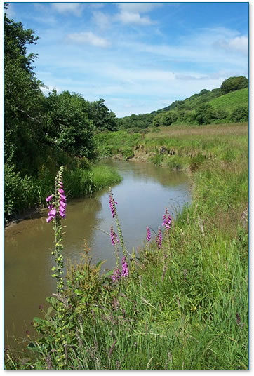 Well managed Cornish river