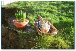 Flower Pot Garden