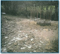 Livestock poaching by feeder next to stream