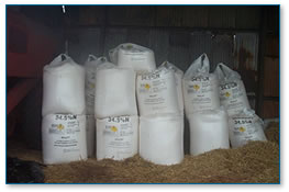 Fertiliser store