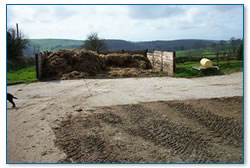 Manure in enclosed area