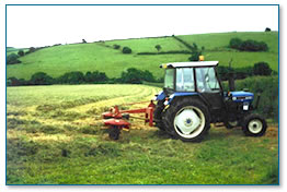 Silage cutting