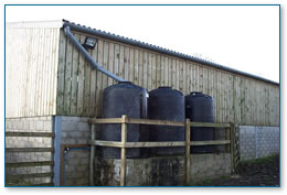 Rainwater being saved in water butts