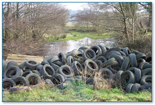 Tyres dumped by a pond
