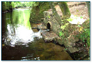 Drain discharging into river