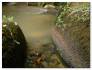 Clean stream meets china clay contaminated stream