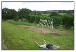 Vegetable Garden