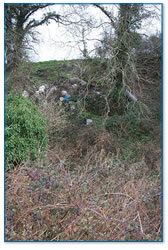 Rubbish dumped by river