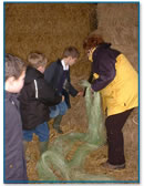 Making scarecrows