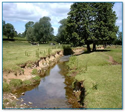 Erosion before fencing