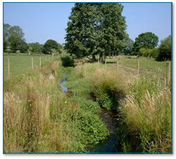 Same view after fencing