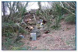 Rubbish tip