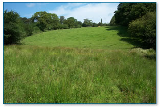 Footslope wetland, Inny catchment