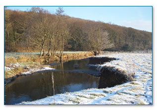 River in all seasons – winter