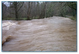Clapper Weir 01-01-03 floods - River Lynher